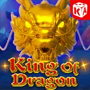 Đội ngũ hỗ trợ khách hàng mb66667