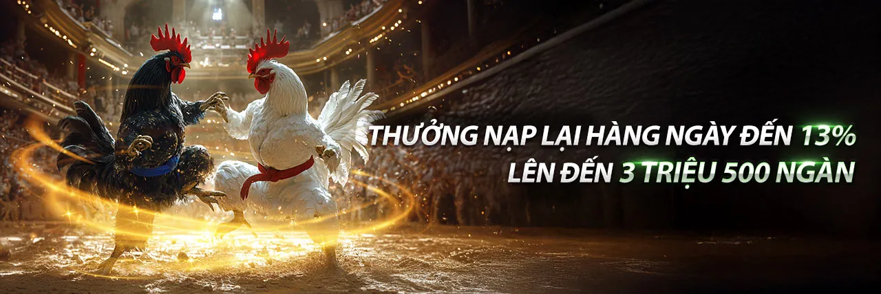 Giao diện đăng nhập mb66667 an toàn với hiệu ứng ánh sáng xanh vàng